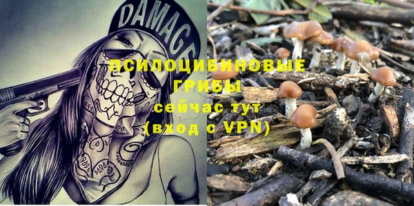 эйфоретик Абдулино
