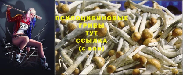эйфоретик Абдулино