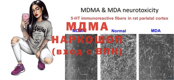 молекула духа Пересвет